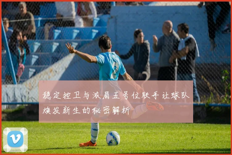 稳定控卫与浓眉五号位联手让球队焕发新生的秘密解析