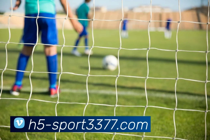 3377体育平台生态图