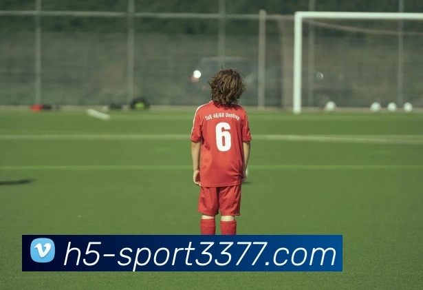 3377体育APP 封面图